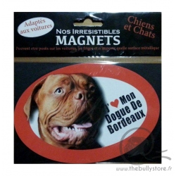 Magnet French Bulldog