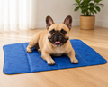 Tapis rafraichissant Doogy