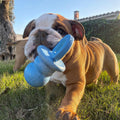 KONG Pacifier / Binkie
